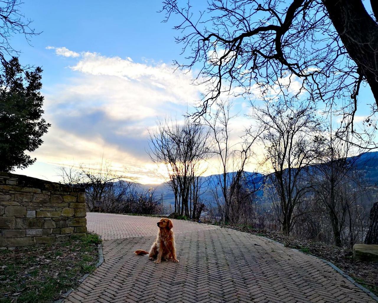 Agriturismo Il Salice Tizzano Val Parma Exterior foto